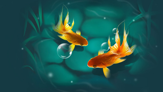 1714603 (a): :1920x1080
